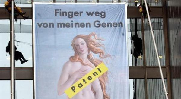 Februar 2002: Greenpeace-Kletterer protestieren vor dem Europäischen Patentamt (EPA) mit einem 12 mal 6 Meter grossen Banner gegen das sog. Brustkrebsgenpatent. 