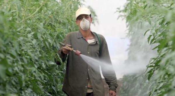 Pesticides Spain