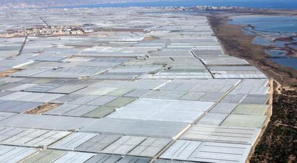 Plastikfolien-Gewächshäuser für den Gemüseanbau entlang der spanischen Küste bei Almeria. Unter den Folien wuchsen vor allem Tomaten, Paprika und Erdbeeren unter starker Pestizidbehandlung.