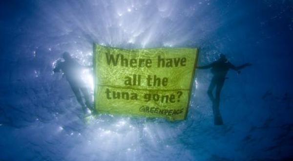Tuna banner