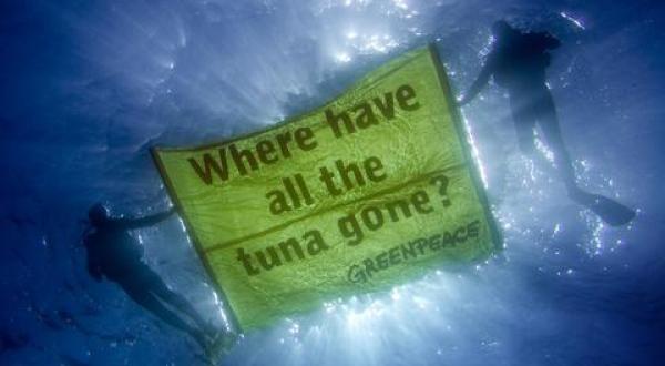 Greenpeace-Taucher mit Unterwasserbanner