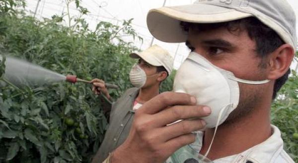 pesticides Spain