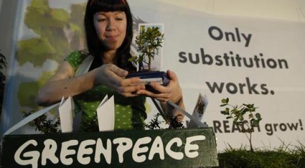 Greenpeace Aktivisten protestieren mit Giftfässern, kleinen Bäumen und Banner im Europäischen Parlament gegen die Verabschiedung der EU-Chemikalienreform (REACH). Durch die Lobbyarbeit der chemischen Industrie ist die Reform stark verwässert worden.