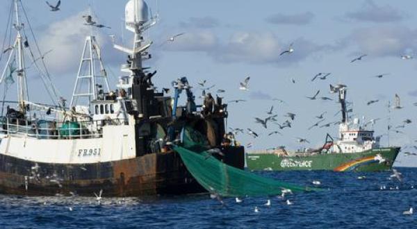 North Sea fishery action