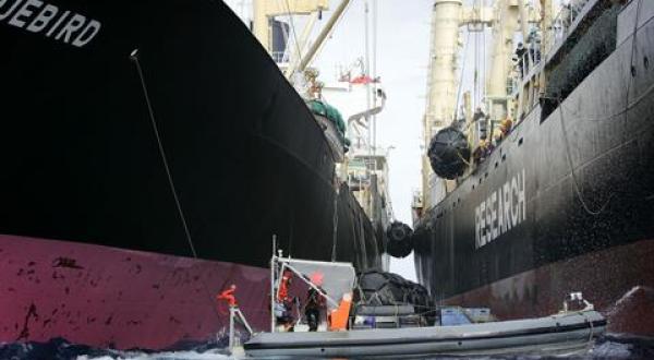 22 Januar 2008: Ein Greenpeace-aSchlauchboot versucht das japanische Walfänger-Fabrikschiff "Nisshin Maru" daran zu hindern, Treibstoff vom Versorgungsschiff "Oriental Bluebird" zu übernehmen. Die beiden Schiffe befinden sich im Walschutzgebiet des Südpol