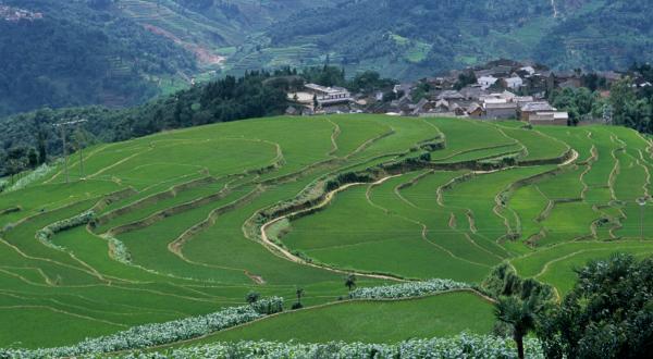 Panoramic View of the Beautiful Paddy Terraces in China