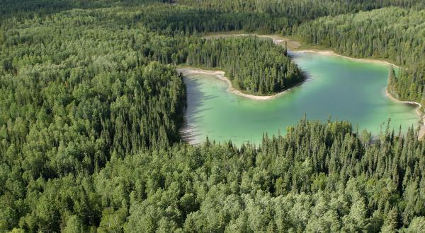 Kanadischer Urwald aus der Luftperspektive 