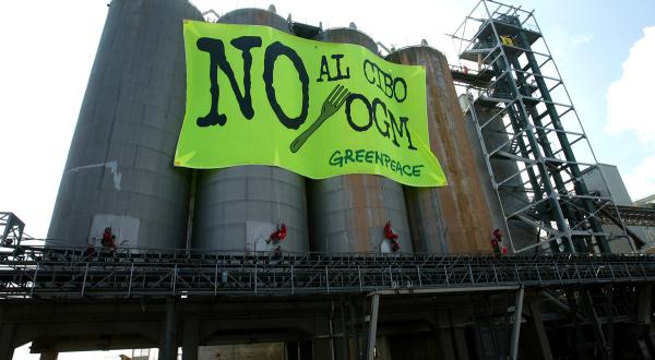 Aktive hängen Banner "Nein zu gentechnisch veränderten Lebensmitteln" von den Docks Cereali Silos in Ravenna.