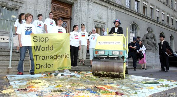 WTO Monsanto Action in Geneva