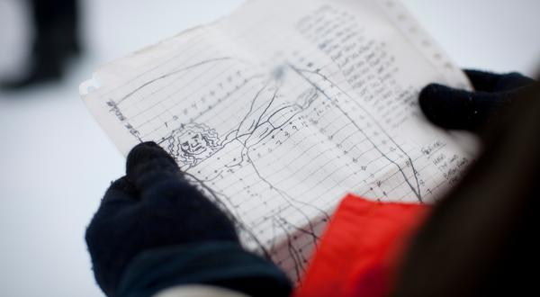 Da Vinci's Vitruvian Man on Arctic Sea Ice