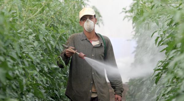 Pesticide Use in Spain