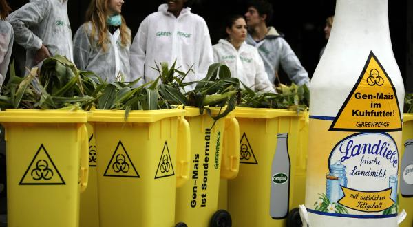 Action against Genetic Engineering in Germany