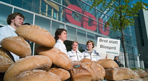 Action against Agrofuel at CDU in Germany
