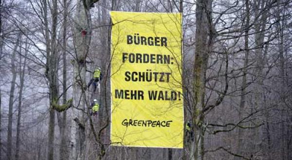 Greenpeace-Aktivisten fordern im Namen der Bürger mehr Waldschutz (2. März 2012)