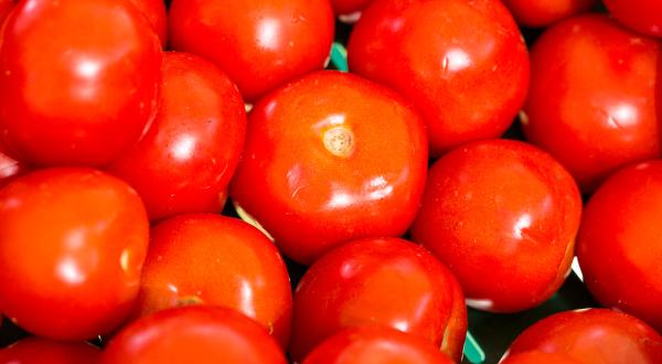 Tomaten