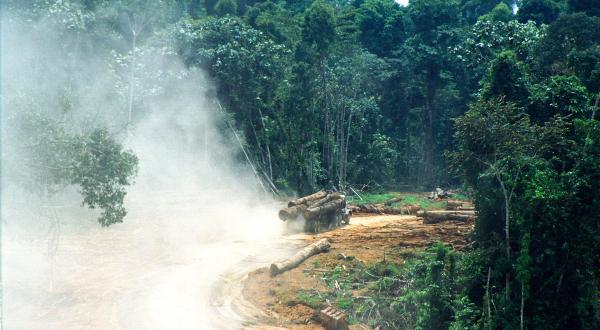 Holzlaster in Indonesien