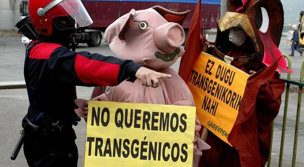 Verkleidet als Kühe, Schweine und Hühner besuchten 18 Greenpeace-Aktivisten am Donnerstagmorgen den größten spanischen Sojaimporteur Moyresa in Portugalete am Golf von Biskaya.