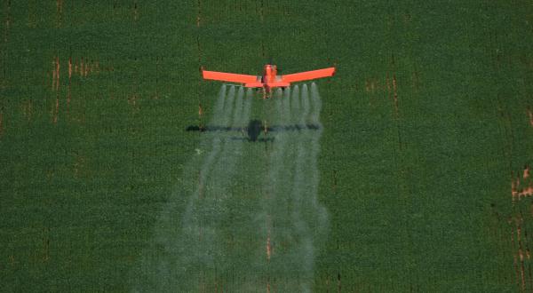 Insecticide Spraying in Brazil
