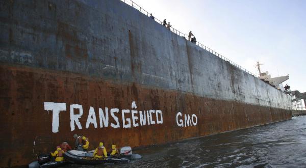 Greenpeace Aktivist:innen malen das portugiesische Wort für "Transgen" und "GMO" auf das Frachtschiff Saturn V.