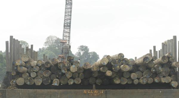 Holzkahn auf dem Baram-Fluss: Ein gewaltiges Staudammprojekt bedroht das Volk der Penan, eines der wenigen verbliebenen nomadischen Völker des Regenwaldes in Malaysia.