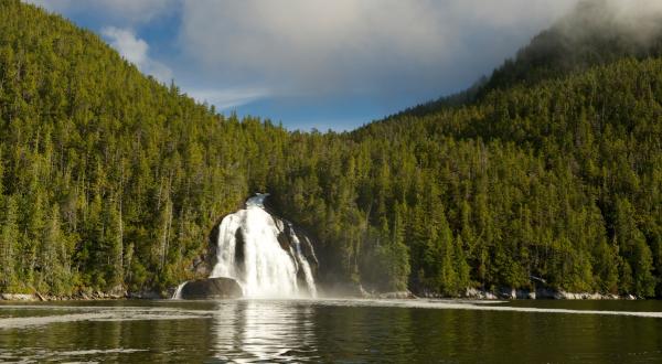 "Great Bear"-Regenwald in Kanada. Wald mit Wasserfall.