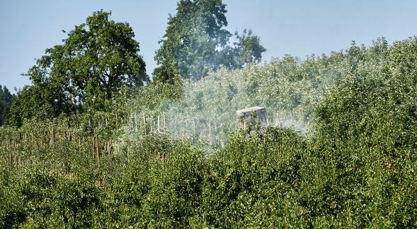 Traktor versprüht Pestizide auf einer Apfelplantage in Deutschland