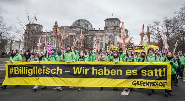 Greenpeace-Aktivist:innen nehmen an der "Wir haben es satt"-Demonstration gegen Massentierhaltung teil. Auf Transparenten und Schildern ist zu lesen: "Esst weniger Fleisch!". 