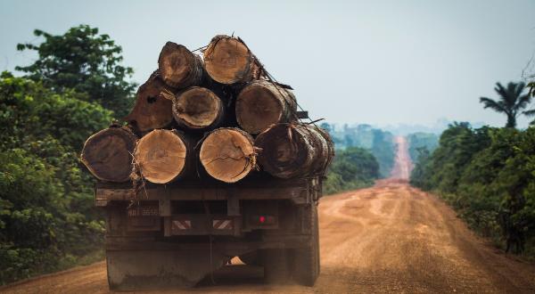 Truck With Timber in Amazonas State