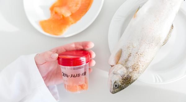 Testing of Fish Products in Germany