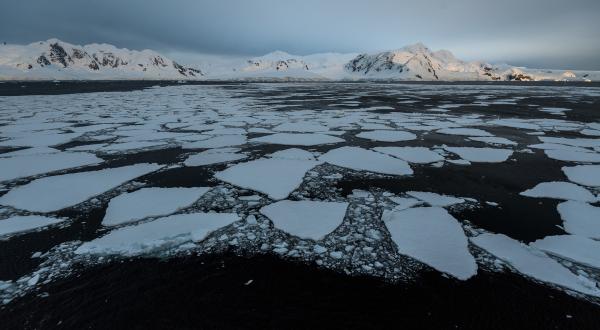 Ansichten von Landschaften und Tieren der Antarktis, produziert von Markus Mauthe für das Projekt "Ränder der Welt" in Zusammenarbeit mit Greenpeace Deutschland.