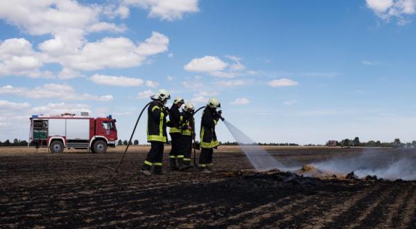 Feuerwehr bei Löscharbeiten eines Feldbrandes bei Thallwitz, Sachsen.