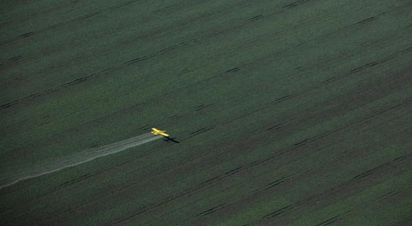Flugzeug versprüht Petizide auf einem riesigen Soja-Feld in Brasilien