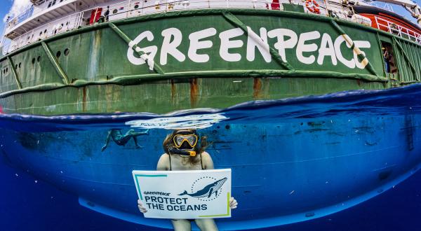 "Protect the Oceans" Message in the Sargasso Sea