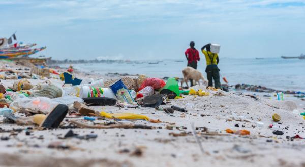 Plastics Clean up on Beach in Senegal