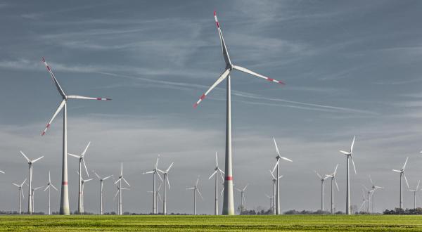 Windpark in Feldheim, Deutschland
