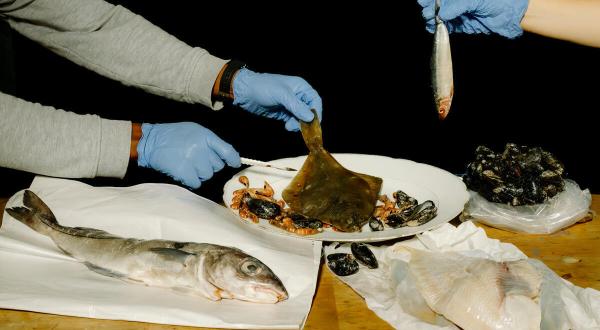 Photo Still Life of Seafood