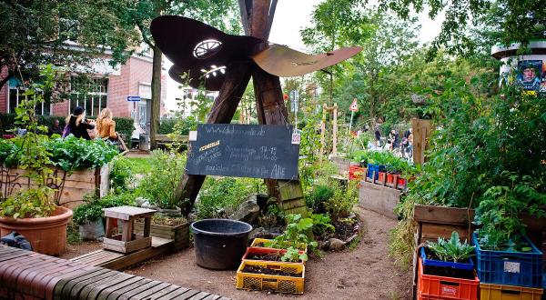 Urban Gardening in Hamburg