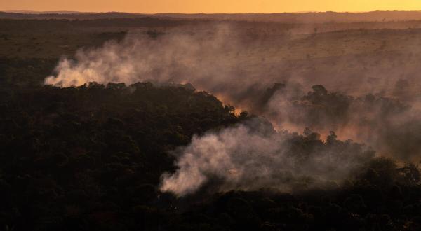 Deforestation and Fire Monitoring in the Amazon in July, 2020