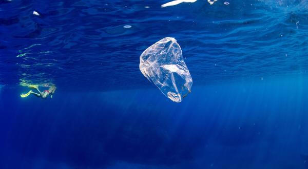 Plastic Pollution in Capraia Island