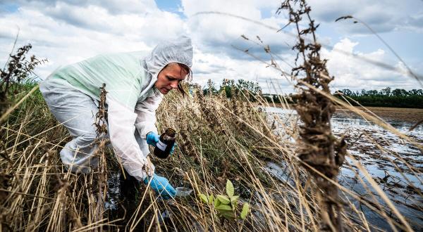 Greenpeace Examines Soil and Water in German Flood Areas