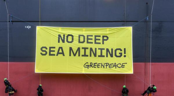 "No Deep Sea Mining" – Greenpeace-Aktion in Rotterdam