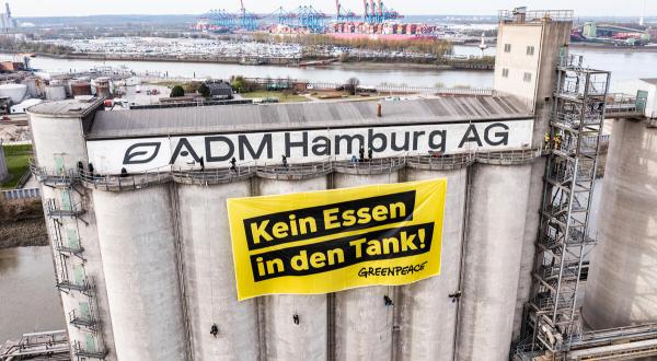 Protest in Hamburg Against Food as Biofuel - Aerials