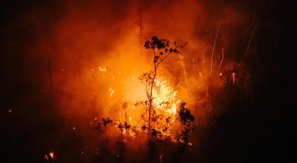Waldbrand nahe des Flusses Manicoré im Amazon-Regenwald in Brazilien