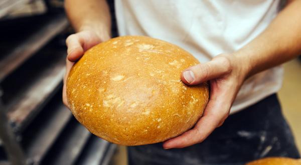 Baking Bread with Animal-Feed Wheat in Germany