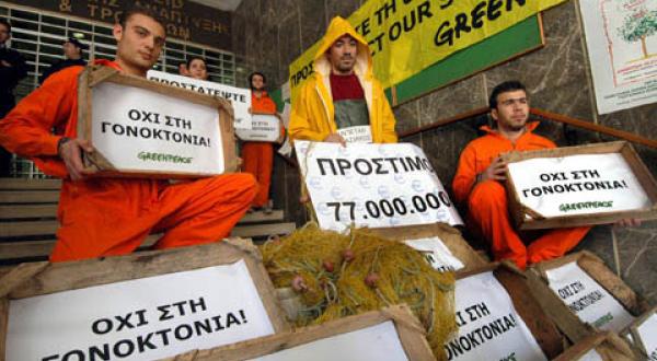 Greenpeace-Protest vor Landwirtschaftsministerium Athen