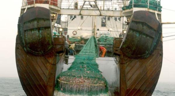 Grundschleppnetz-Trawler