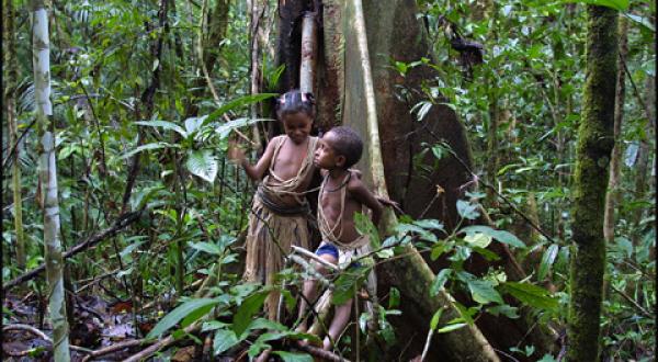 Papua-Neuguina: Kinder lehnen an einem Baumstamm