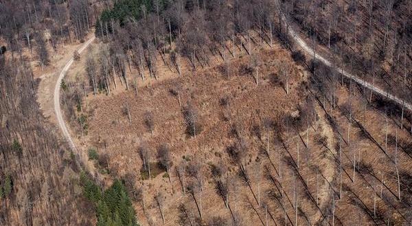 Luftaufnahme im Spessart
