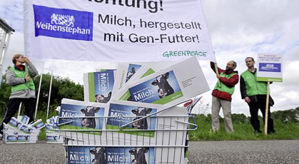 Greenpeace-Aktivisten aus München präsentieren vor der Molkerei Weihenstephan (Müller Milch) 4000 Briefe von Verbrauchern: Sie hatten sich an der Aktion "Der Cent macht´s - Milch ohne Gentechnik" beteiligt. 