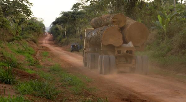 Holztransporter mit riesigen Stämmen Tropenholz im Kongo